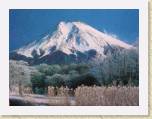 01April05 - JapanPostcards 008 * 2048 x 1536 * (1.54MB)